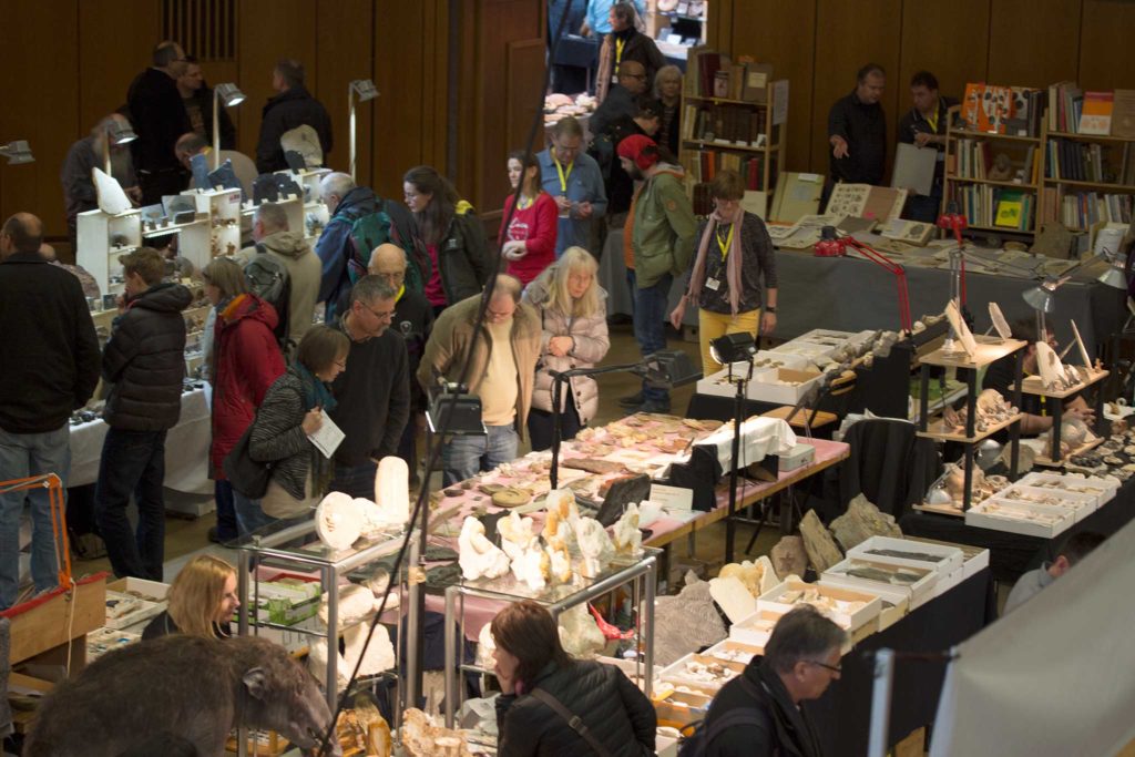 Suchen, finden und entdecken aus der Messe für Fossilien.