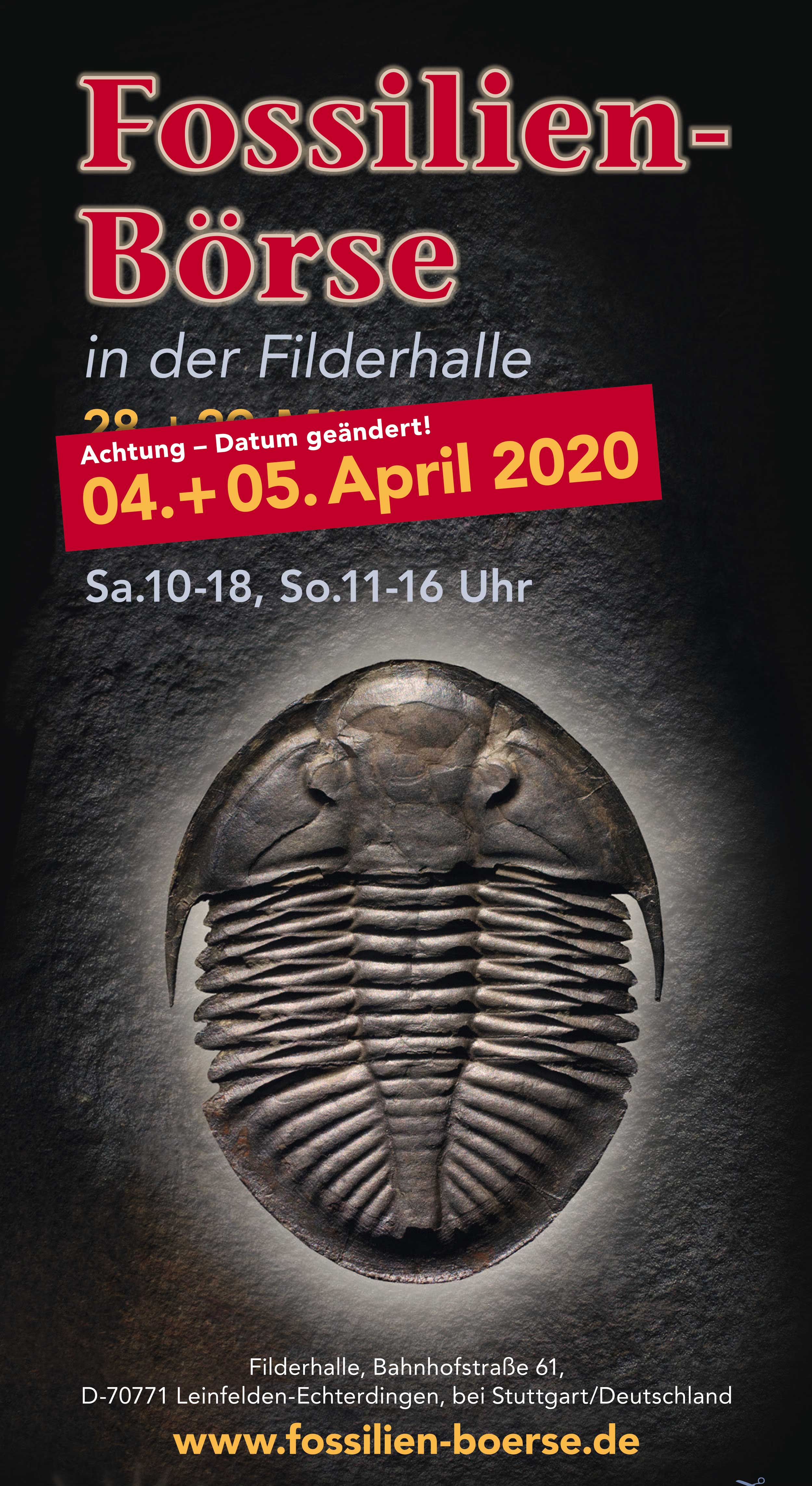 Fossilien Boerse 2020 Neues Datum Flyer Deutsch
