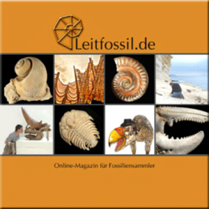 Andreas E. Richter - Leitfossil.de