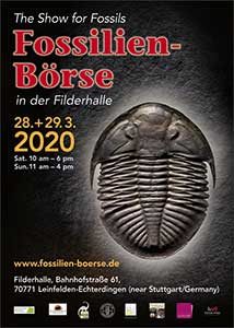 Poster for the Fossils Show 2020 known as "Fossilien Boerse"
