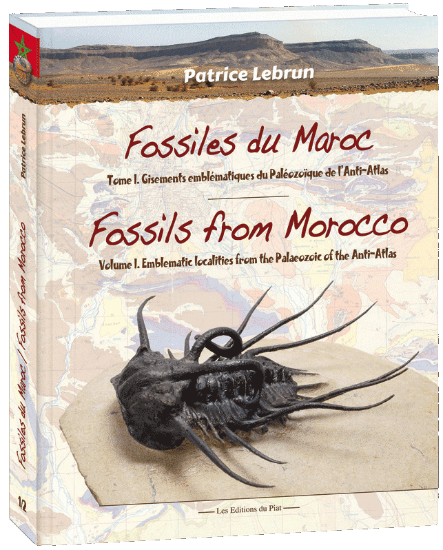 Fossiles du Maroc - Fossils from Morocco by Patrice Lebrun, 2018