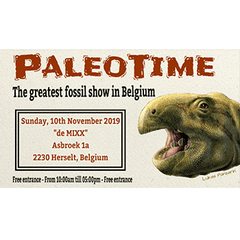 The greatest fossil show in Belgium