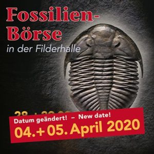 Neuer Termin der Fossilien Börse 2020 ( 400x400)