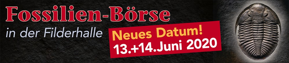 Neuer Sommer Termin für die Fossilienbörse am 13-14.06.2020.