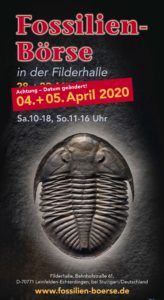 Fossilien Boerse 2020 Neues Datum Flyer Deutsch
