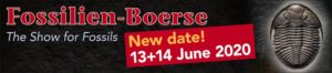 New Fossil Show date in Summer for the "Fossilien-Boerse" on June 13-14, 2020.