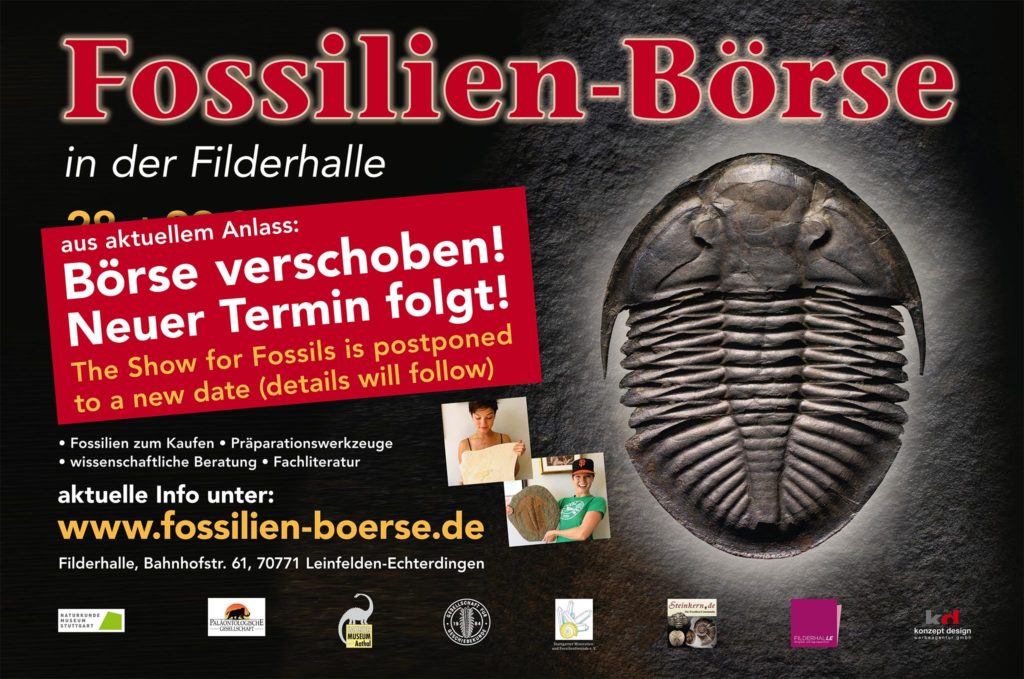 Fossilien Messe Termin 04. – 05. April offiziell Abgesagt.