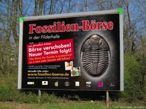 Fossil Show - New Date 2020