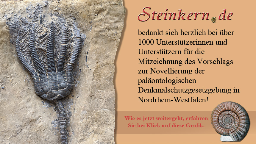 Steinkern.de - Novellierung der paläontologischen Denkmalschutzgesetzgebung in Nordrhein-Westfalen