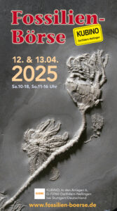 Flyer for the Fossil Show "Fossilien Boerse" on the 12. & 13.04.2025