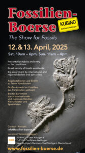 Flyer for the Fossil Show "Fossilien Boerse" on the 12. & 13.04.2025